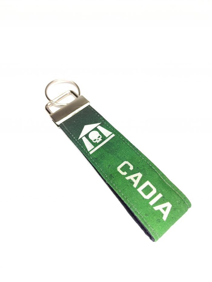 Guardia Imperial Cadia