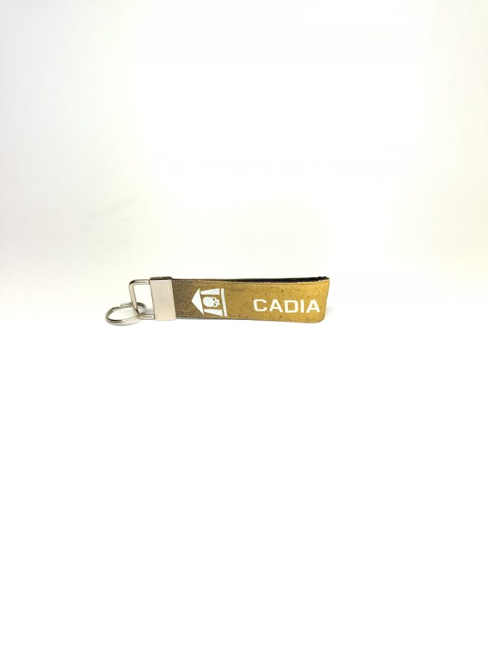 Guardia Imperial Cadia - Imagen 4